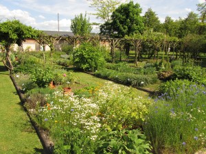 Conservatoire des plantes à parfum, aromatiques, médicinales et industrielles