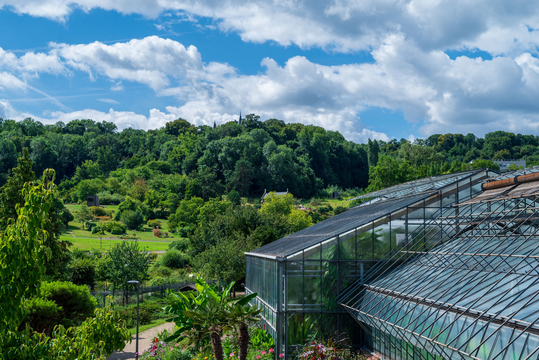 Jardin botanique Jean-Marie Pelt