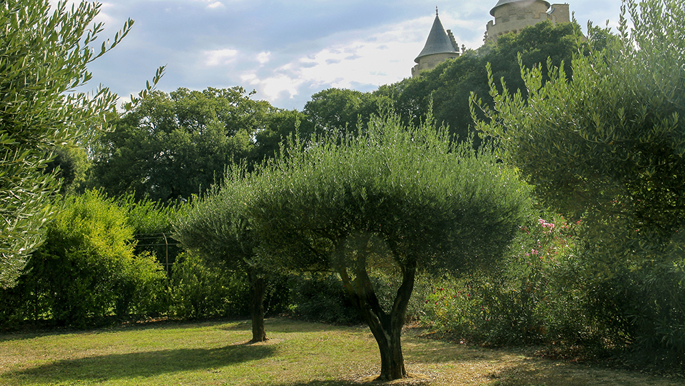 Château de Margon